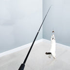 Cat playing with 180cm extendable feather wand interactive toy for exercise