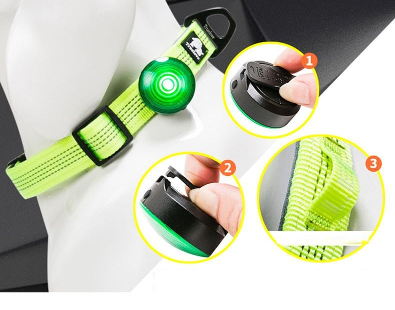 LED Dog Night Safety Light