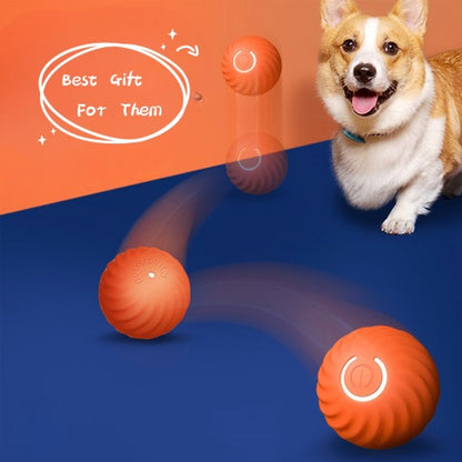 Bite Resistant Smart Dog Toy Ball