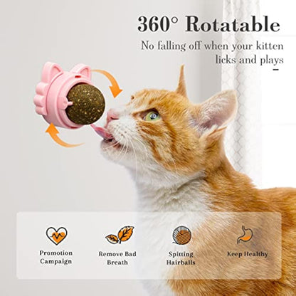 Catnip Balls Wall-Mountable Cat Toy