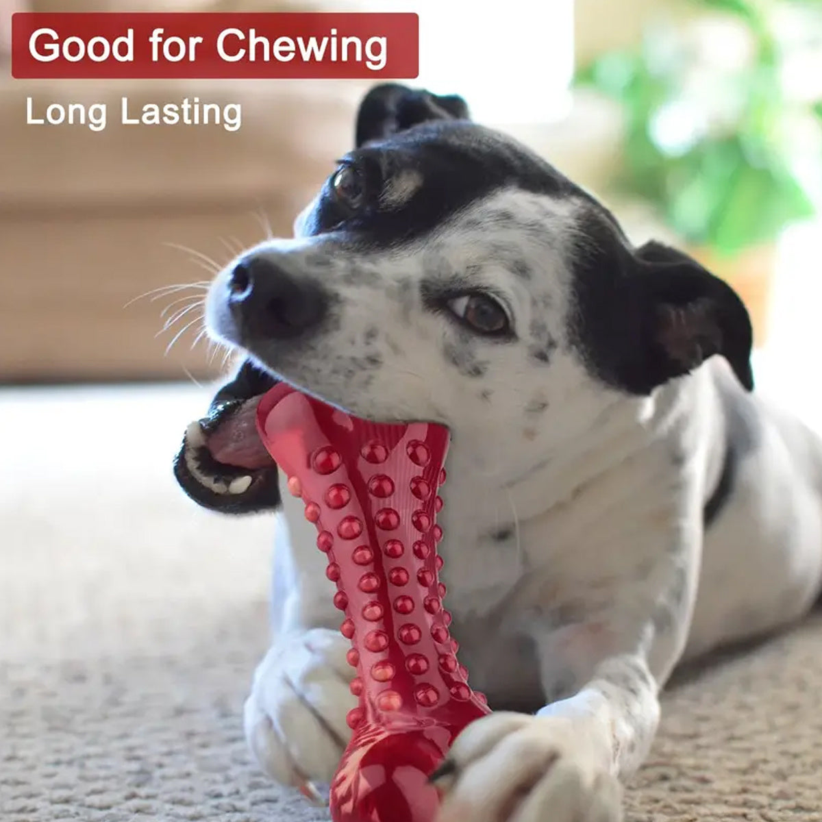 Natural Rubber Dog Bite Toy