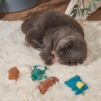 Plush Bite-resistant Catnip Toys