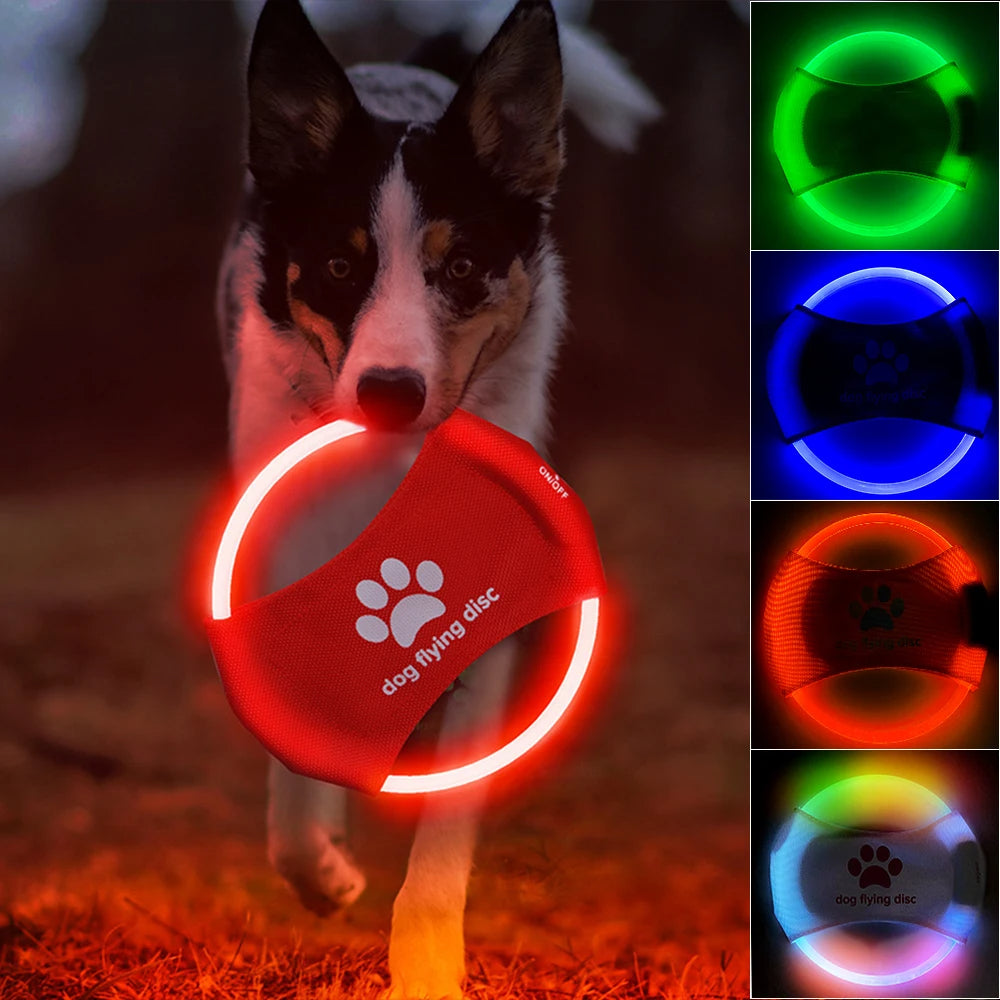 LED Dog Flying Disc Toy: Rechargeable Eco-Friendly