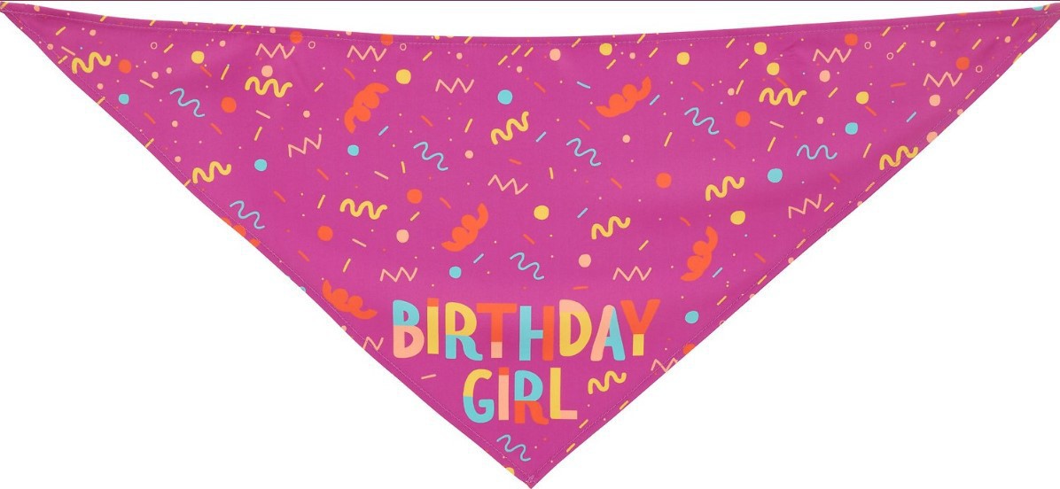 ToyTigris Dog Birthday Scarf and Toy Bone Set
