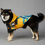 Windproof & Rainproof Dog Jacket