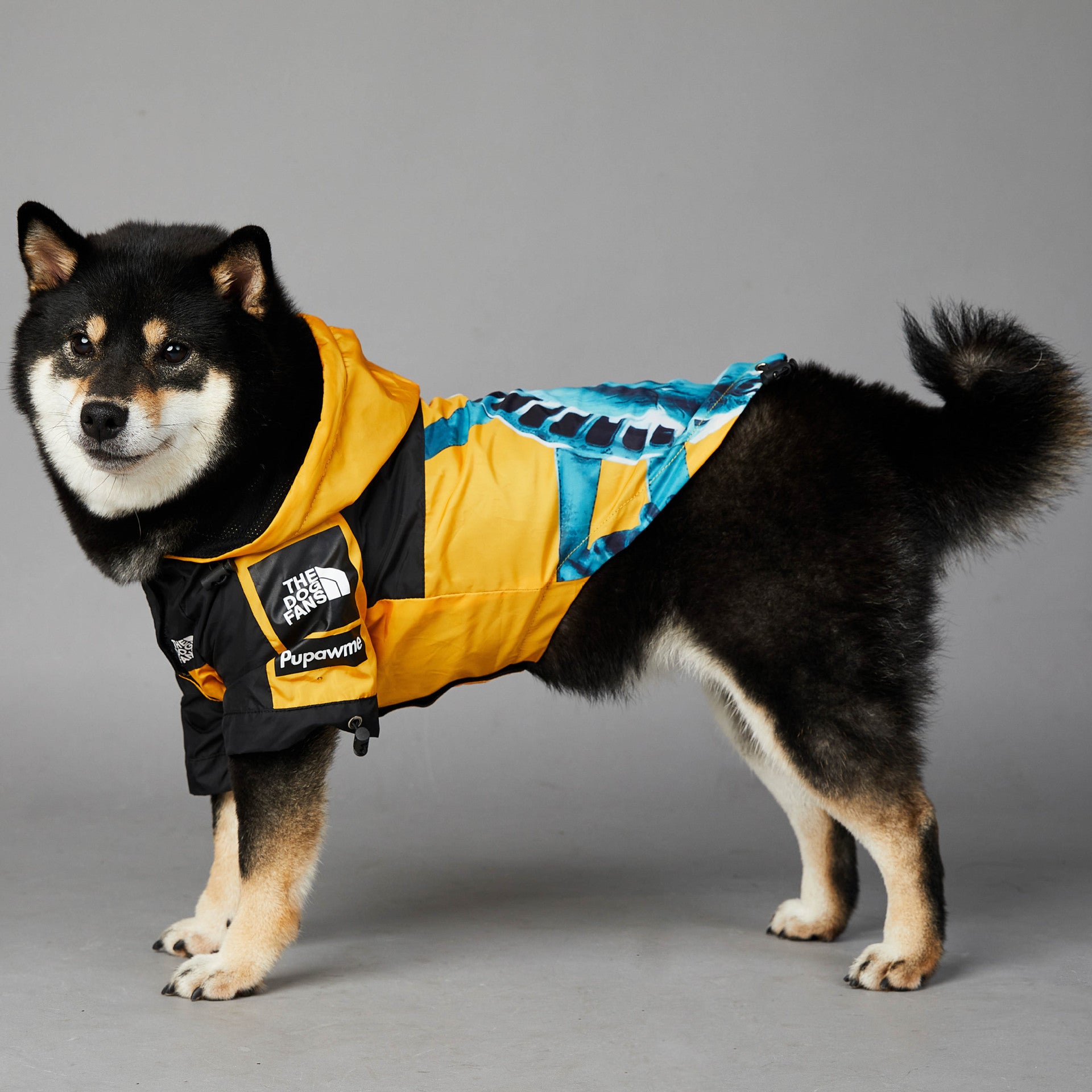Windproof & Rainproof Dog Jacket