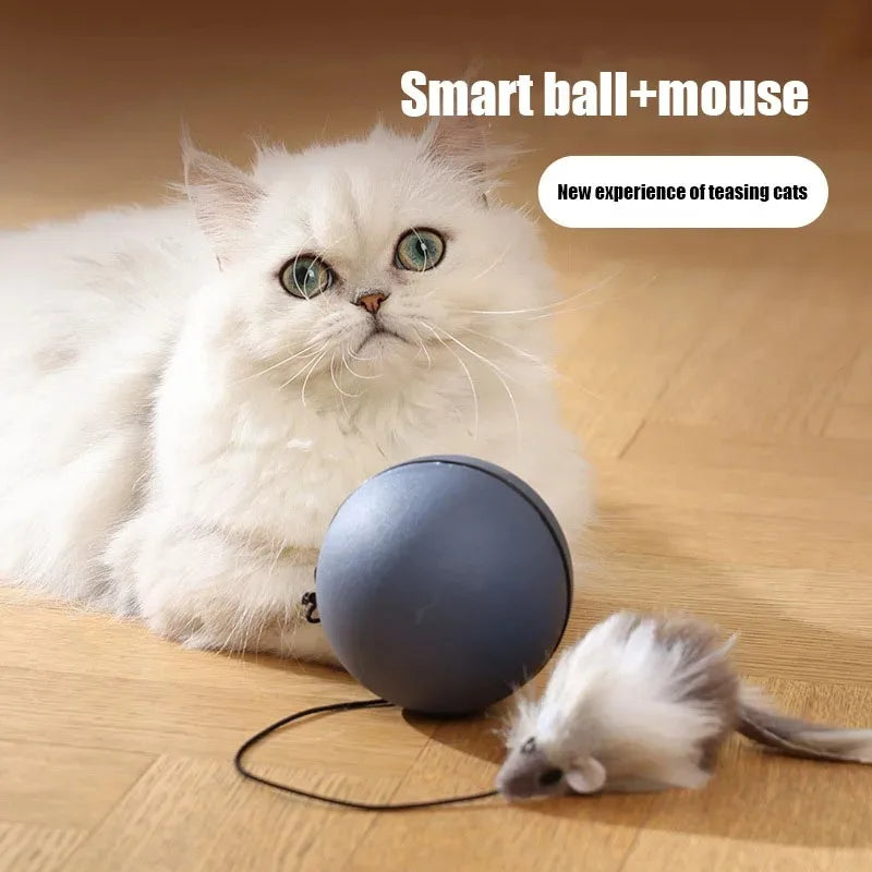 ToyTigris Intelligent Moving Ball With a Mouse Tail