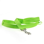 Toytigris LED Dog Leash