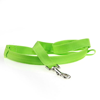 Toytigris LED Dog Leash