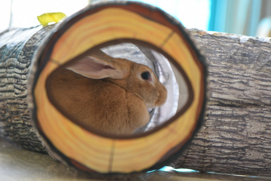 ToyTigris Tree Pattern Tunnel Toy For Pets