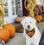 Halloween Pumpkin Dog Plaid Bandana