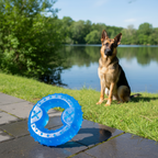 ToyTigris Freeze & Chew Dog Toy
