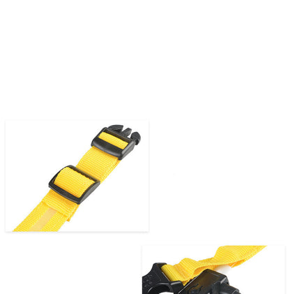 LED Night Safety Dog Collar