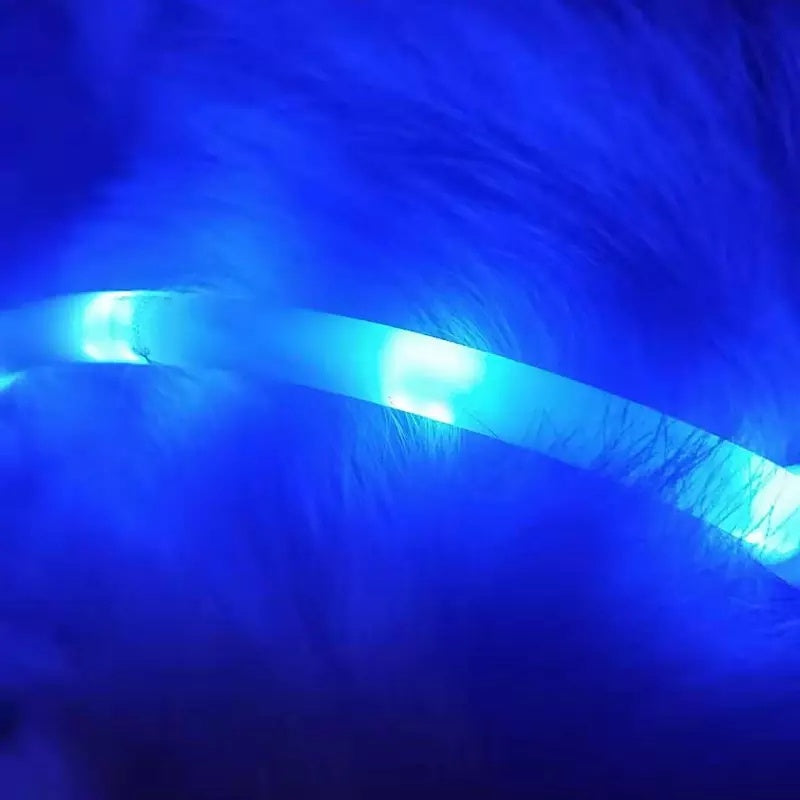LED Pet Safety Collar – USB Rechargeable Anti-Lost Light Collar for Dogs