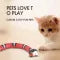 ToyTigris Moving Snake Cat Toy