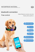 APP Control LED Dog Collar