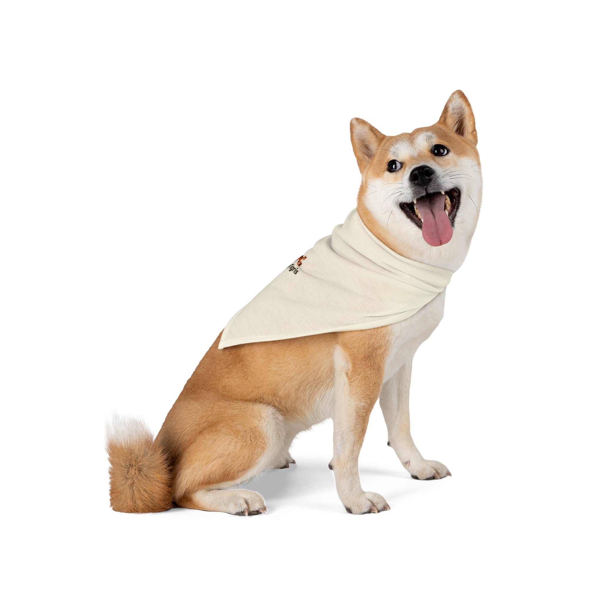 Pet Bandana - Toytigris Design