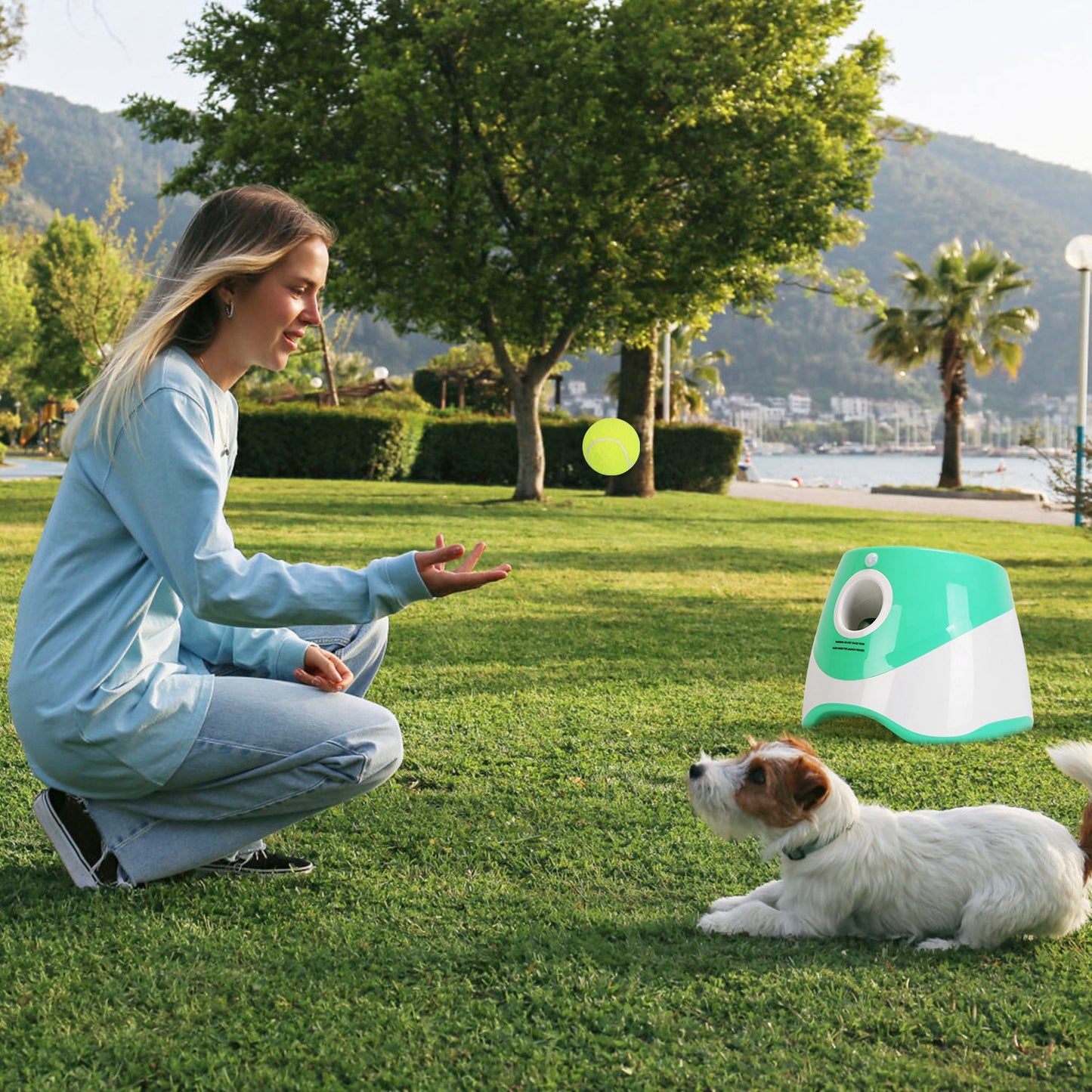 Automatic Dog Toy Ball Launcher With 3 Adjustable Launch Distance