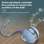 Multifunction Sound Cat Toy Ball
