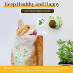 Catnip Balls Wall-Mountable Cat Toy