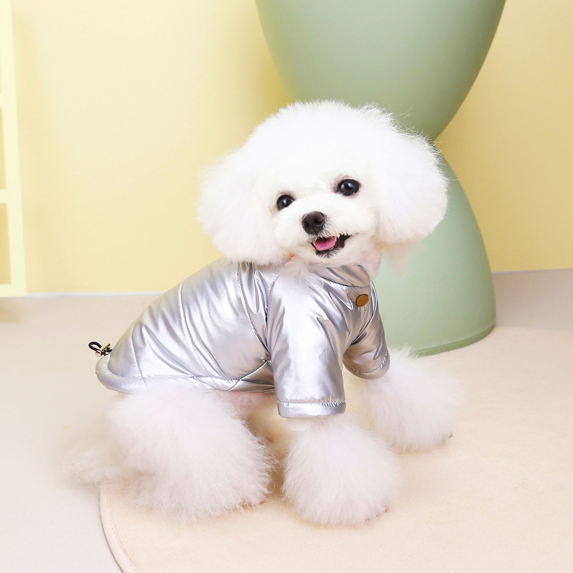 Wasserdichte Hundejacke: Gemütliche Winterkleidung für Haustiere