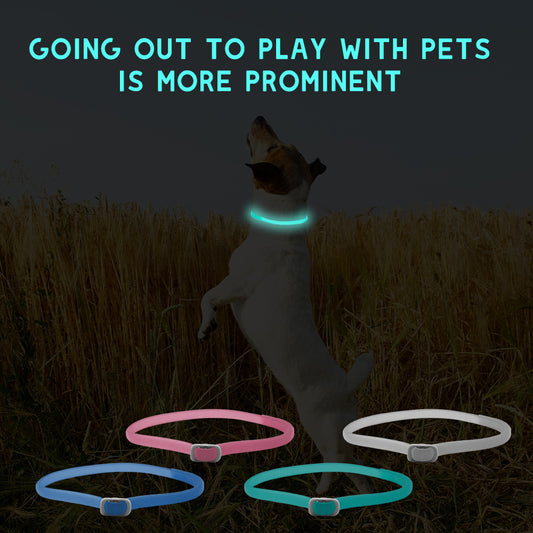 Luminous Insect Repellent Dog Collar