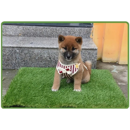 Artificial Grass Dog Toilet Mat Pet Training Lawn Mat Washable Reusable Cat And Dog Toilet Training Mat Dog Peeing Lawn