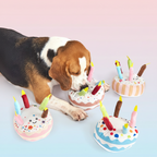 Dog birthday cake toy