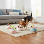 Dog birthday toys