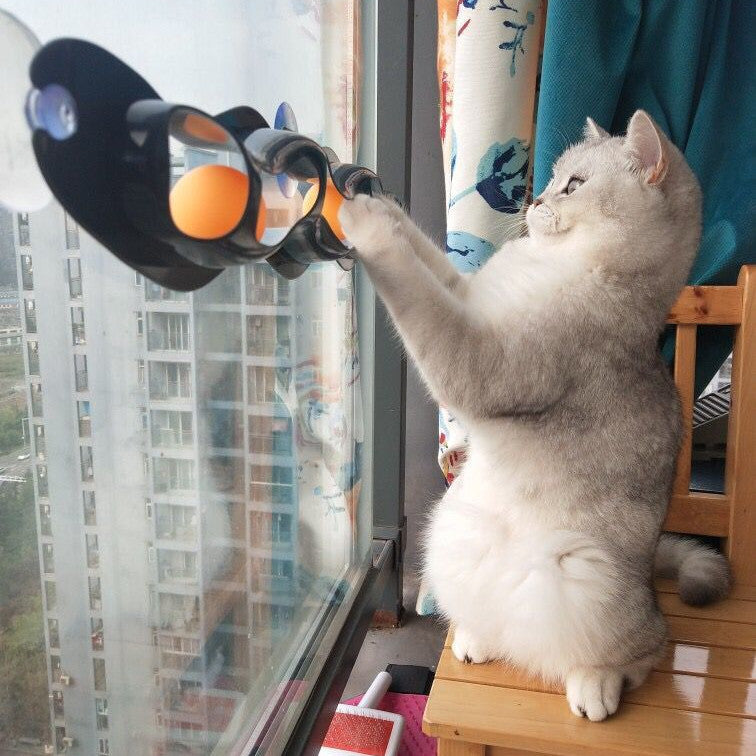 Window Cat Ball Track Toy