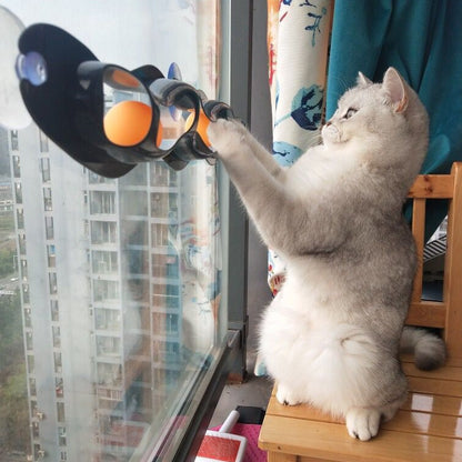 Window Cat Ball Track Toy