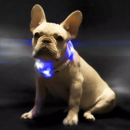 LED Pet Safety Collar – USB Rechargeable Anti-Lost Light Collar for Dogs