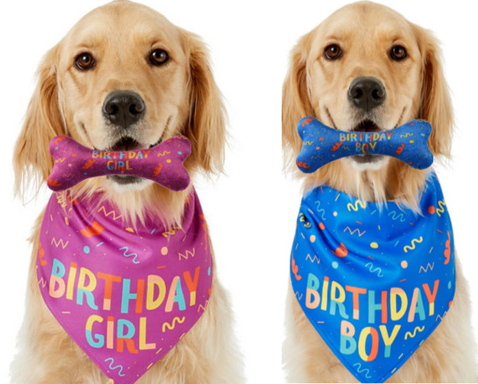 Dog birthday scarf & toy bone