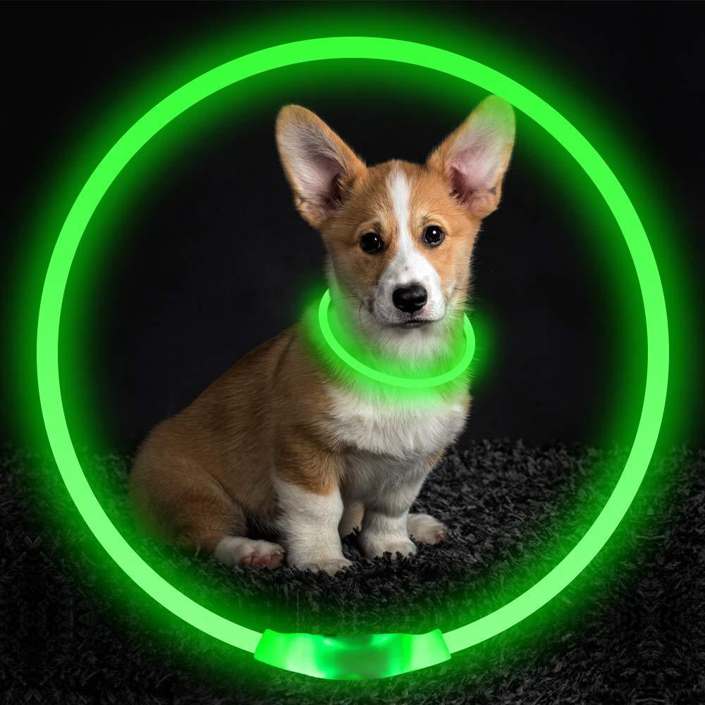 USB wiederaufladbares LED-Hundehalsband