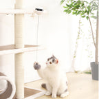 ToyTigris Electric Clip-On Interactive Cat Ball Toy