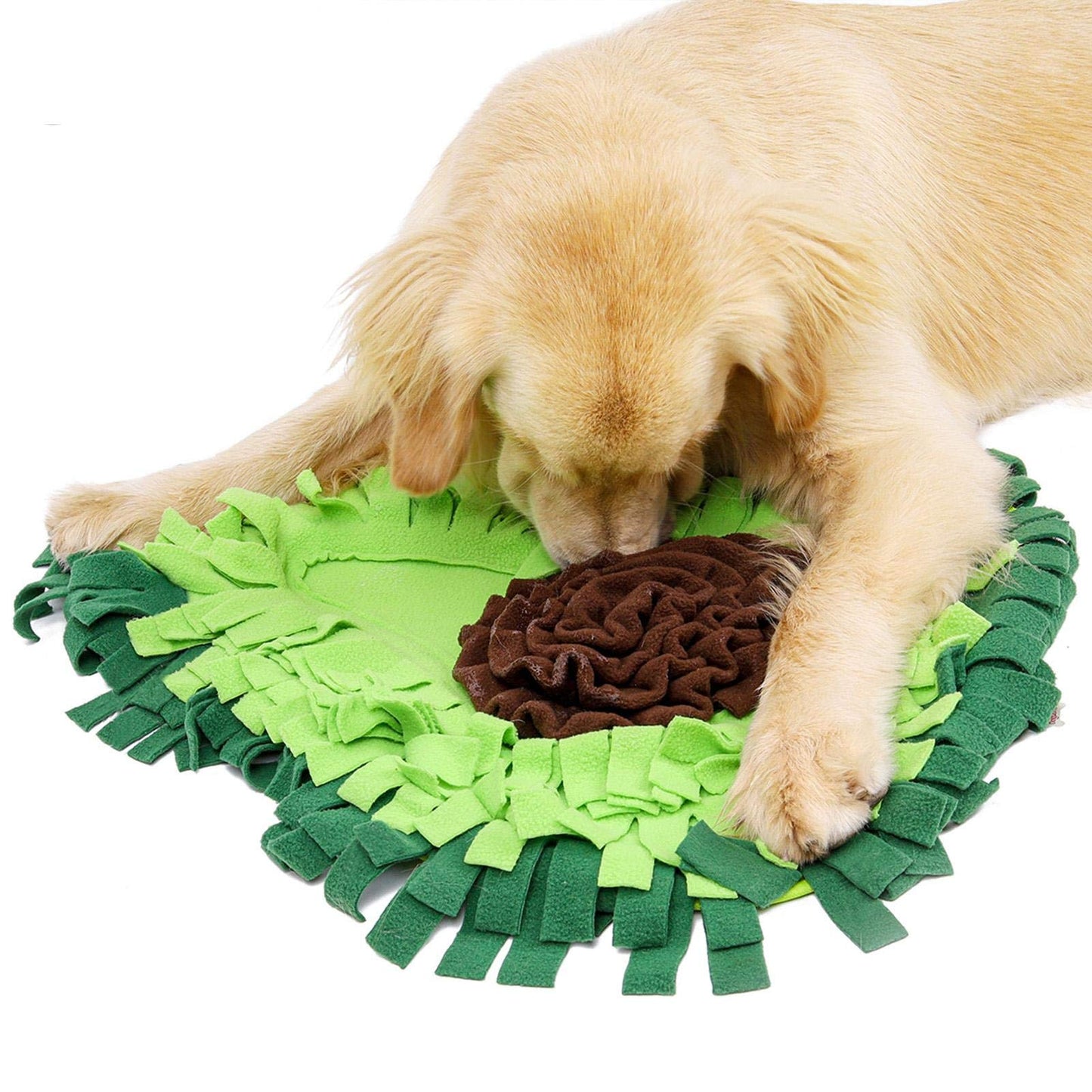 Hundefutter-Schnüffelteppich