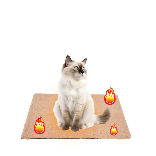 Cozy Self Heating Blanket for Pets
