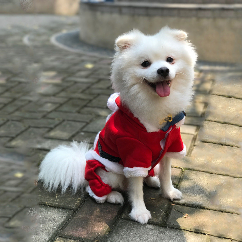 Cozy Wool Christmas Sweaters: Warm Winter Pet Clothes