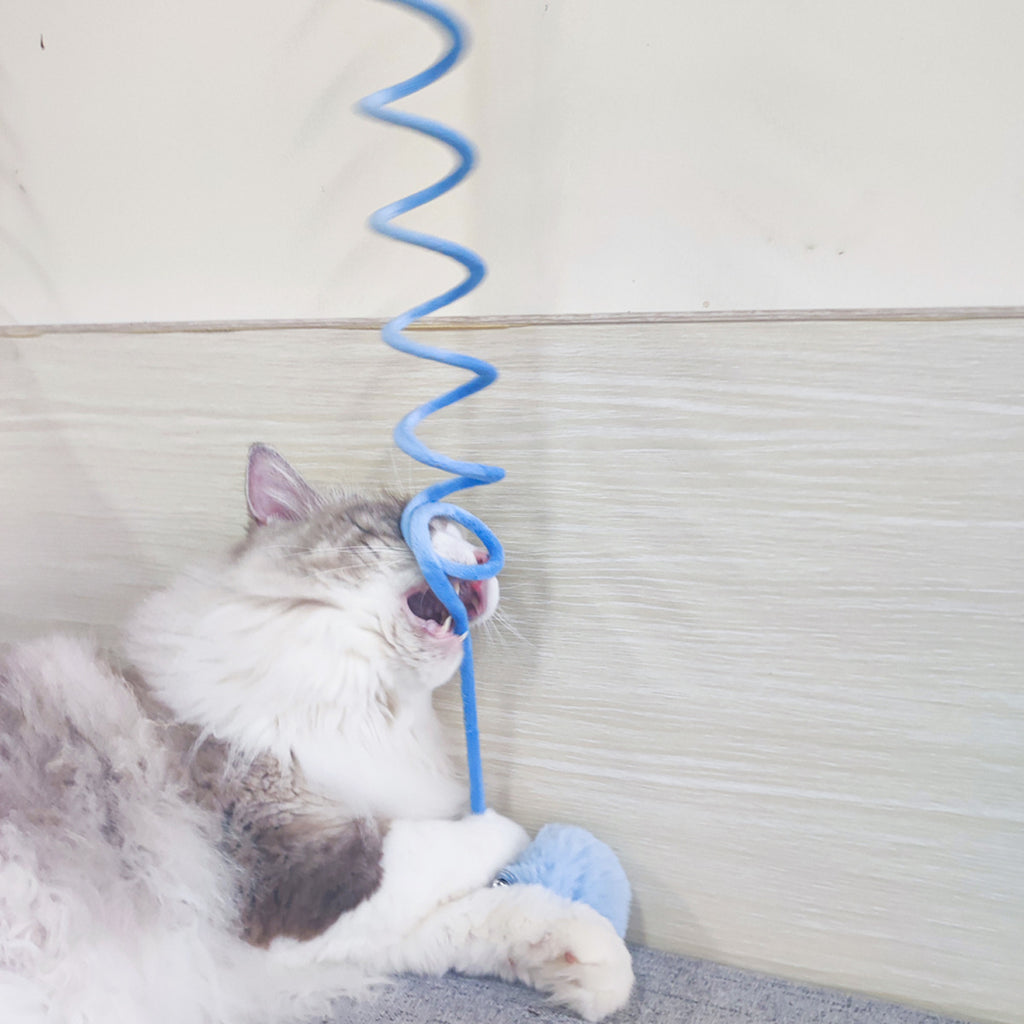ToyTigris Interactive Spring Cat Toy