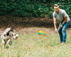 Throwing Ball Bite Resistant Dog Toy