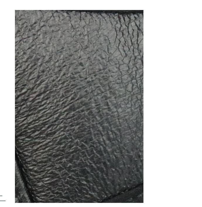 Autumn & Winter Dog Leather Cap European & American Style