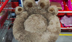 Plush Paw Pet Bed