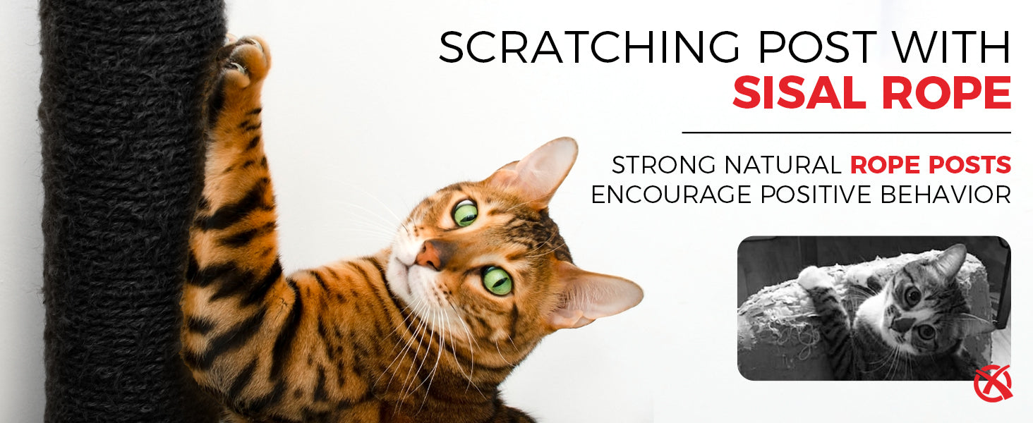692479ce6a7212b12f6cb74949a43df8