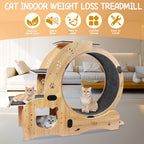 ToyTigris 6-in-1 Cat Fitness Wheel and Activity Centre