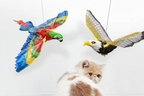 Flying Eagle Cat Toy