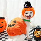Halloween Pumpkin Costume for Pets