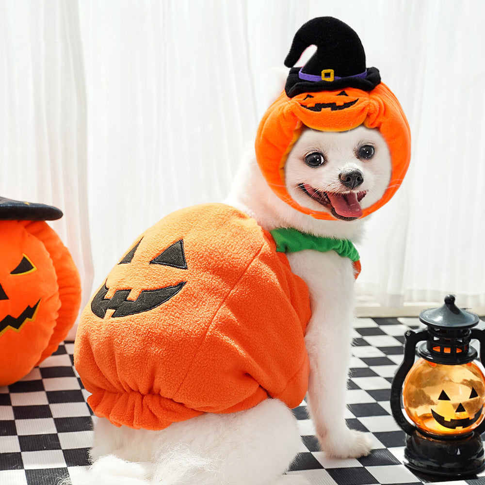 Halloween Pumpkin Costume for Pets