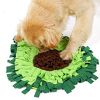 Dog Puzzle Feeding Mat