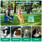ToyTigris Automatic Ball Launcher for Dogs