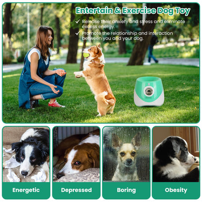 Automatic Dog Toy Ball Launcher With 3 Adjustable Launch Distance